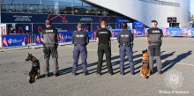 Efectius de la Policia vetllen per la seguretat al Mundial de Rugbi