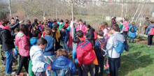 Les escoles de la Seu i Castellciutat celebren el Dia de l’Arbre