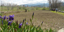 L’ajuntament organitza un curs gratuït d’horticultura ecològica