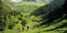 Els boscos dels Pirineus ofereixen bons serveis ambientals 