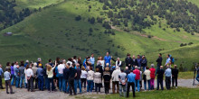 1.852 caps de bestiar peixen a les pastures de la Massana