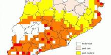 Risc d’incendis entre moderat i alt a l’Alt Urgell