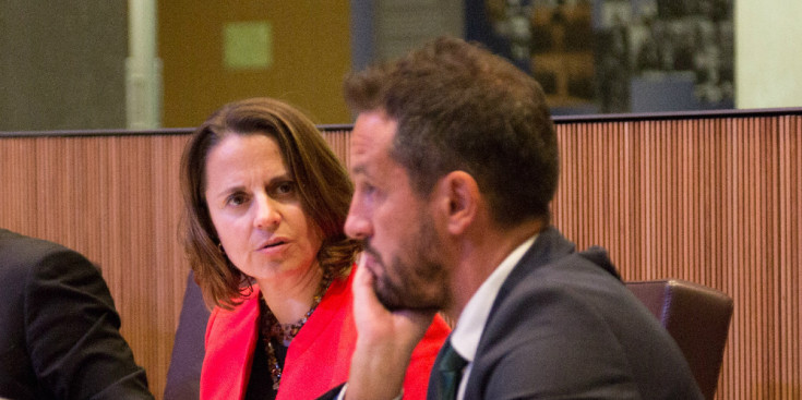 Gili i López a la sessió al Consell General sobre propostes de sanitat.