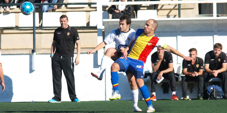 Sebas Gómez tracta de fer-se amb la pilota en el partit d'ahir al Municipal Feliu i Codina.