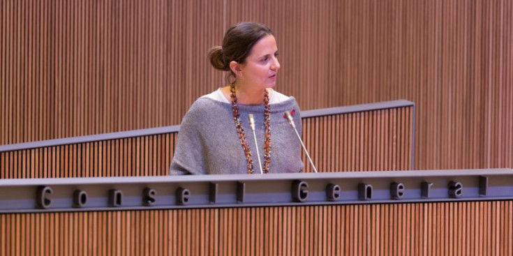 Rosa Gili en una intervenció al Consell General.