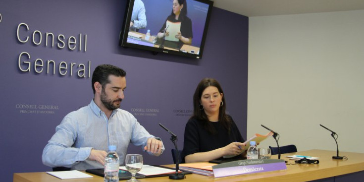 Els consellers demòcrates, Marc Ballestà i Maria Martisella, ahir.