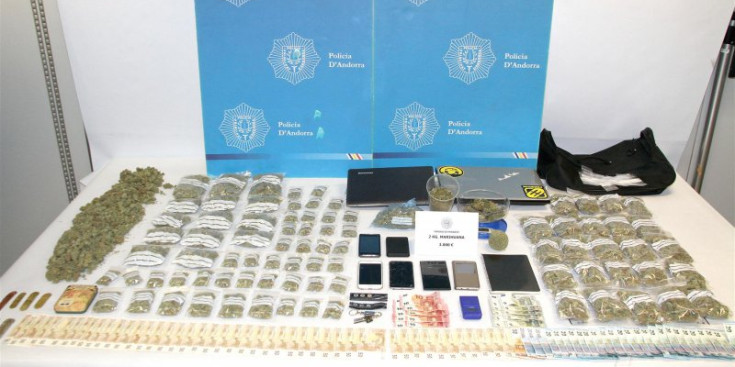 La droga confiscada en el marc de l’‘operació Paradís’, la més gran contra la marihuana.