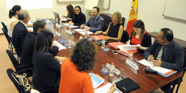 Els membres de la Comissió nacional de prevenció de la violència de gènere i domèstica, ahir.