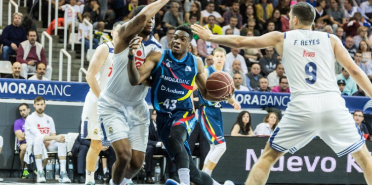 Antetokounmpo, al matx dels play-off amb el Reial Madrid jugat a Andorra.