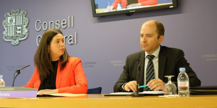 Els consellers generals demòcrates Maria Martissella i Carles Jordana.