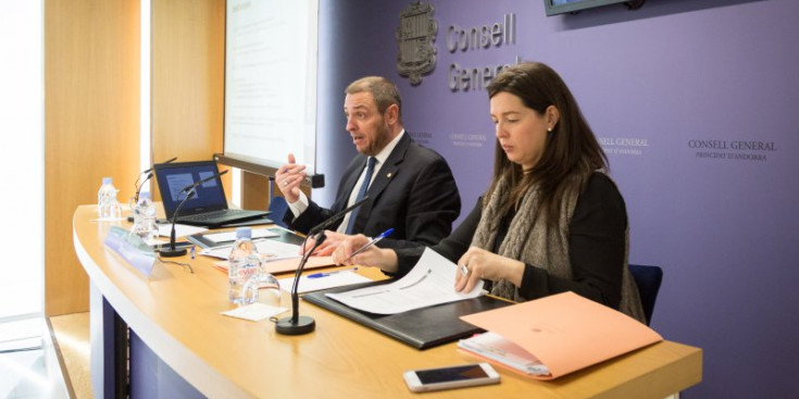 Els consellers demòcrates Josep Anton Bardina i Maria Martisella, ahir al Consell General.
