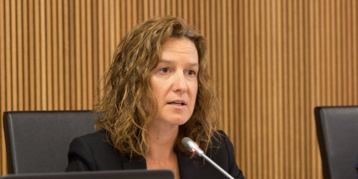 Sílvia Calvó, durant una compareixença sobe el Pla Nacional de residus al Consell General, el maig passat.