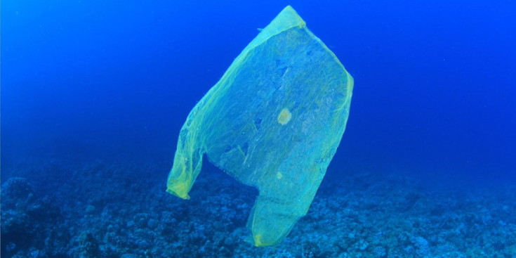 Una bossa de plàstic al fons marí.