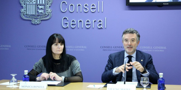 La subsíndica, Mònica Bonell, i el síndic general, Vicenç Mateu, durant la roda de premsa.