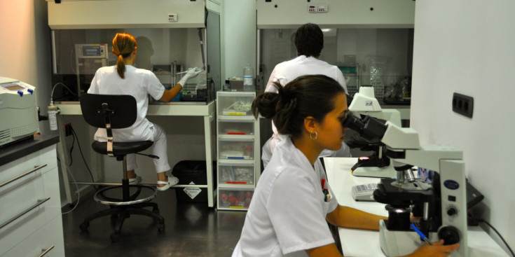 Tres professionals treballen en el Laboratori d’Andrologia de l’Institut Marquès, l’any 2011.