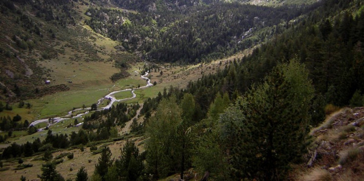 Parc Natural de l’Alt Pirineu que optarà a ser Reserva de la Biosfera.