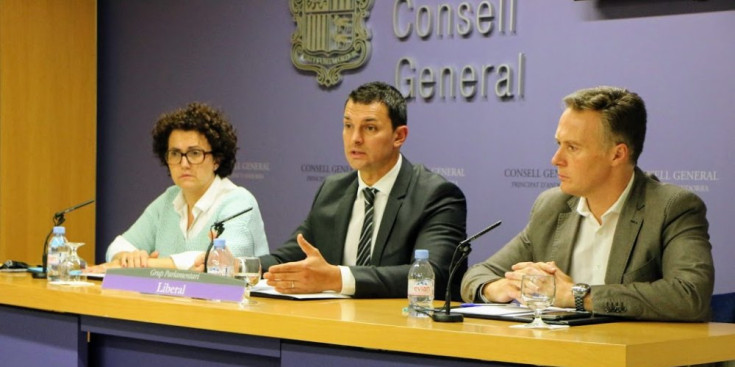 Judith Pallarés, Jordi Gallardo i Ferran Costa, ahir al Consell General.