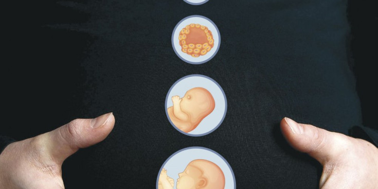 Fotomuntatge que il·lustra diferents fases de l’embaràs sobre el ventre d’una dona encinta.