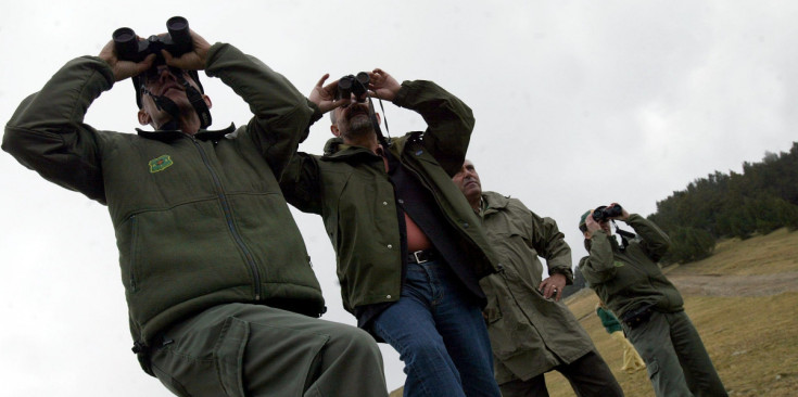 Uns agents forestals vigilen una jornada de caça.