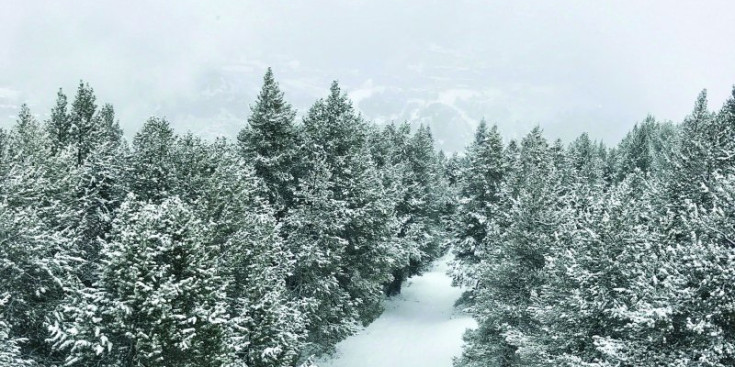 Les nevades fan que s’acumulin gruixos d’uns 20 centímetres de neu pols a les pistes d’esquí.