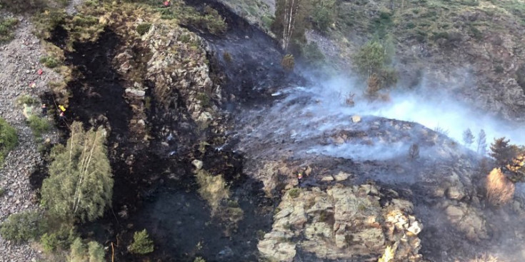 Zona forestal cremada a Canillo.