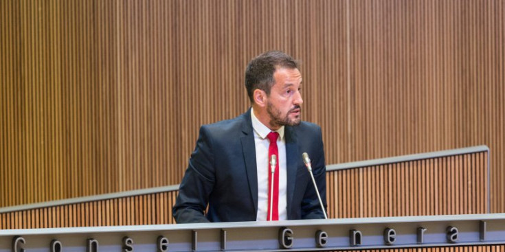 Pere López, durant una sessió al Consell General.