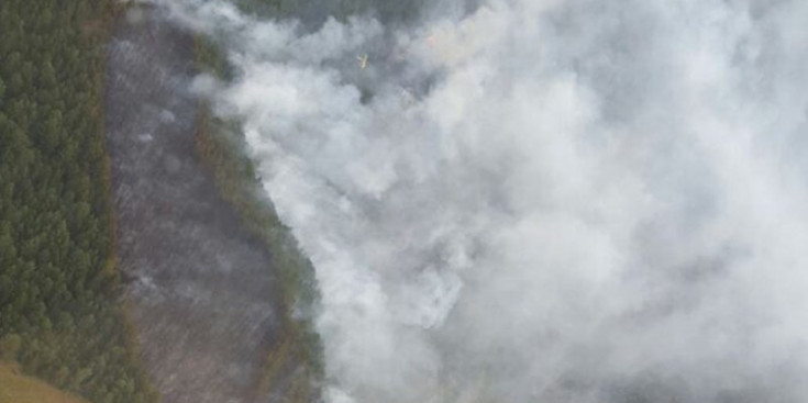 Imatge aèria de la zona que va patir l’incendi a Bellver de Cerdanya