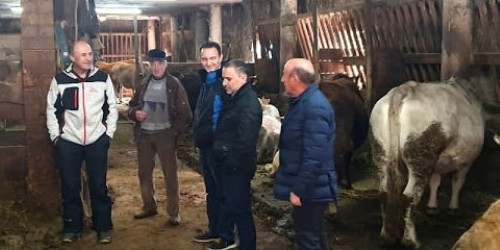 Demòcrates de Canillo fent una visita a una explotació ramadera.