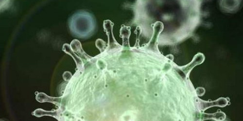 Fins a 900 persones detectades han patit el contagi d'aquest nou coronavirus