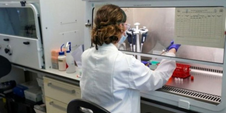Imatge d’un laboratori que busca la vacuna contra Covid-19.