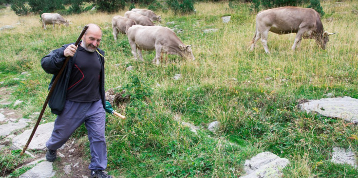 Un passejant per la vall de Rialb, ahir.