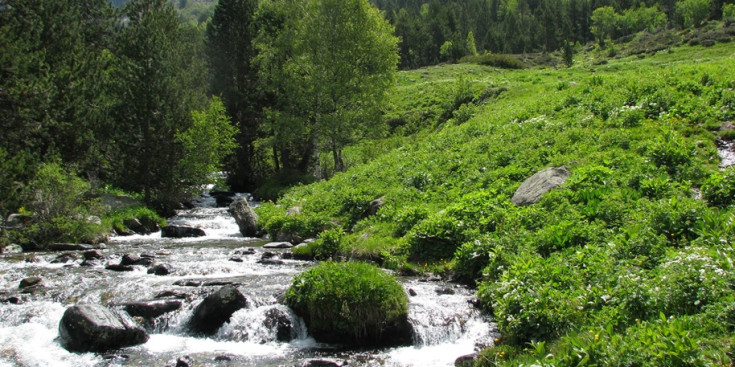 Parc natural de la vall de Sorteny.