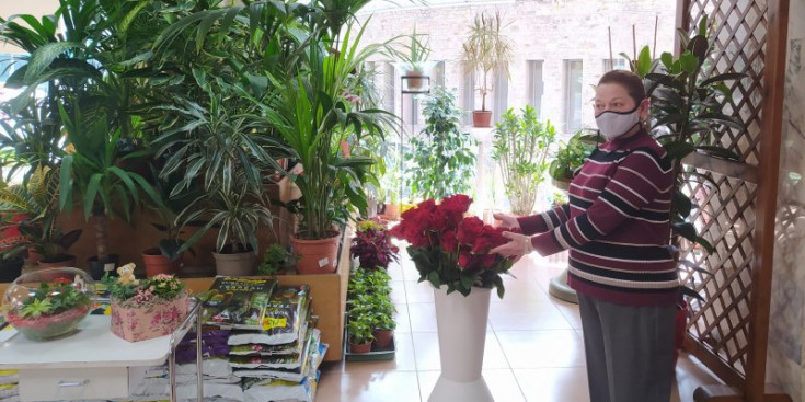 La florista Marina Lanza fa els preparatius per a la Diada de Sant Jordi.