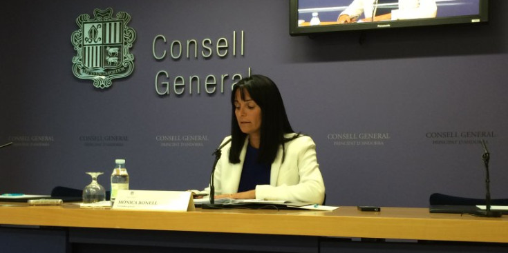 Mònica Bonell, subsíndica general, atenent als mitjans