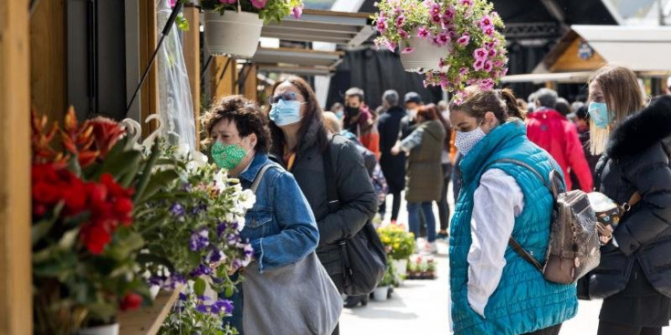 Persones observen una parada de flors.