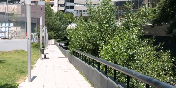 El passeig del riu en el tram abans d’arribar a l’Espai Jovent.