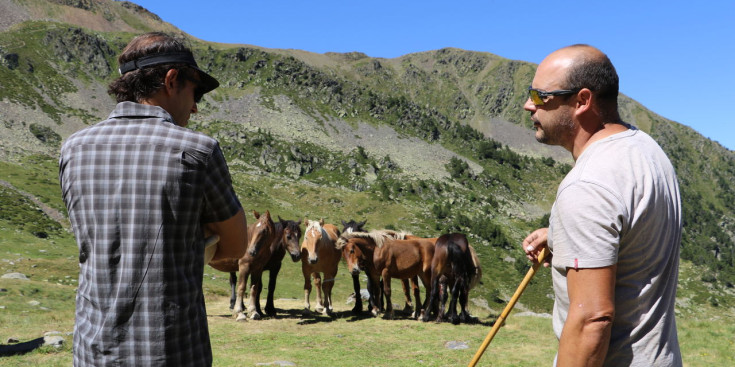 Ramaders d'Ordino.