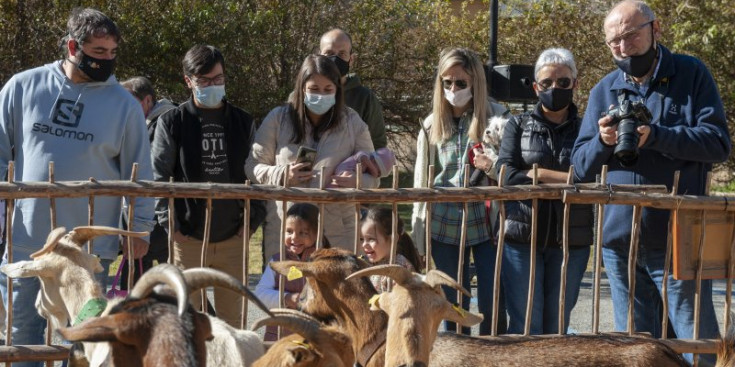 Un grup d’assistents a la Fira del Bestiar observant un dels ramats.