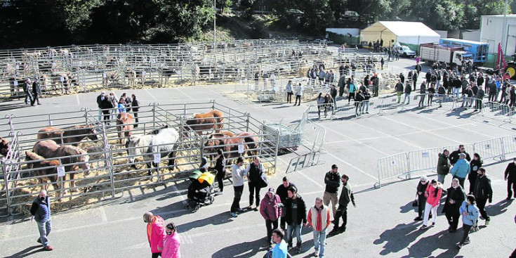 Una imatge del recinte on s’ha fet la 42a Fira concurs del bestiar
