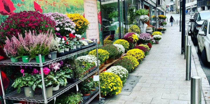 Els aparadors de la floristeria Roselles plens de flors i plantes, la setmana prèvia a Tots Sants