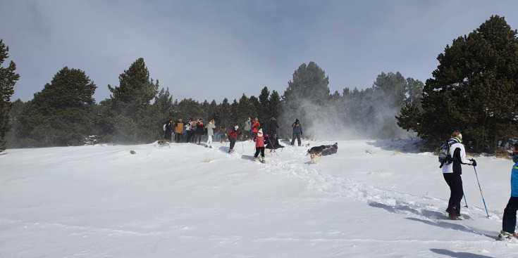 Esquiadors a les pistes de la Rabassa aquest cap de setmana.