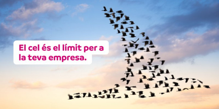 La publicitat d’Andorra Telecom del nou servei de gestió al núvol per a empreses i autònoms.