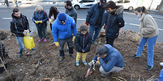 Diversos ciutadans planten els seus arbres a la zona de la Plana.