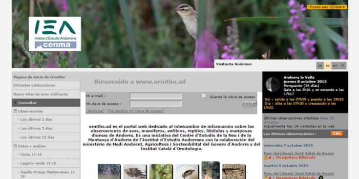 Captura del nou web d'ornitologia, inaugurat ahir pel CENMA.