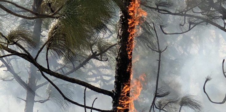Un incendi provocat pels efectes del canvi climàtic.
