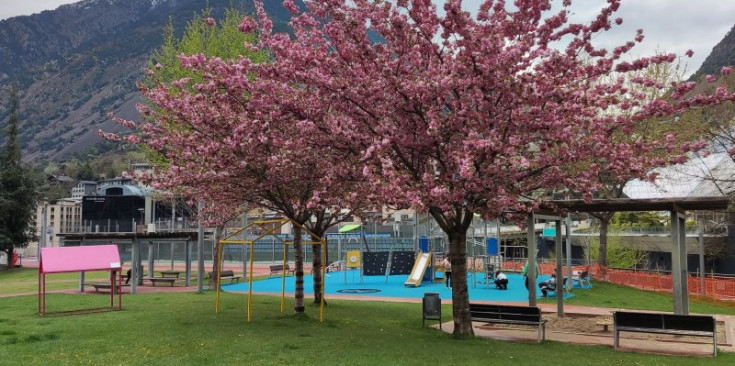 Imatge del Prat del Roure amb els arbres florits.