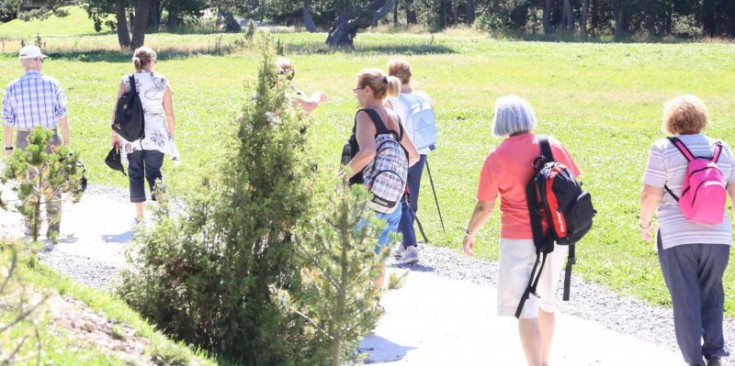 Una caminada anterior en el marc del programa 'Envelliment saludable'.