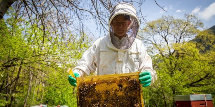L’apicultor i propietari d’Autèntics Abelles, Mathieu Garaud.