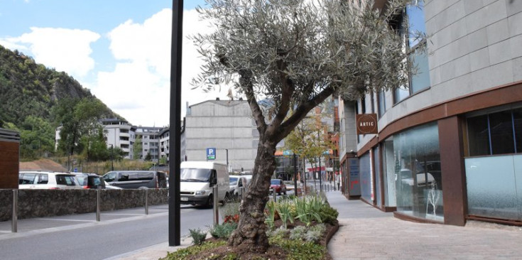 Una de les jardineres que s’han instal·lat a l’avinguda del Fener.