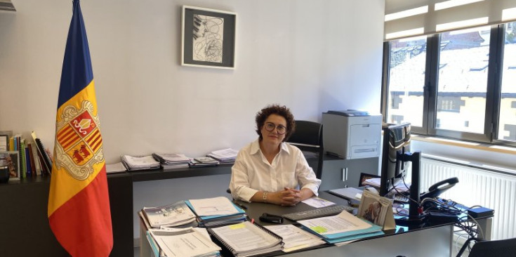 La minisitra d’Afers Socials, Joventut i Igualtat, Judith Pallarés, al seu despatx.
